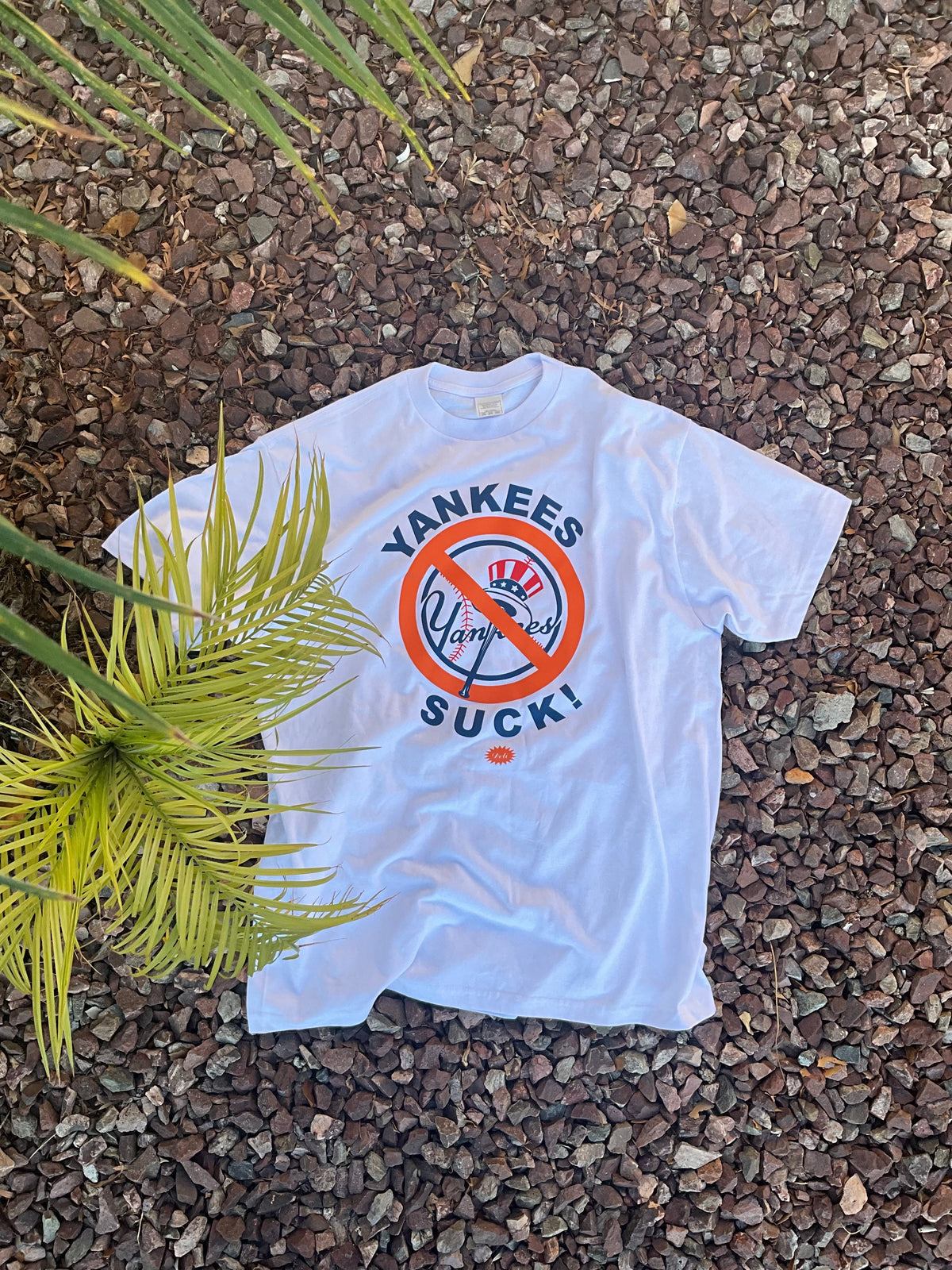 Yankees Suck!